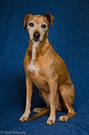 Dolly formal portrait