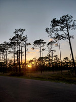 Ochlockonee River State Park