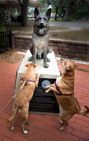 Dogs with War Dog statue
