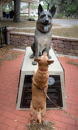 Dogs with War Dog statue