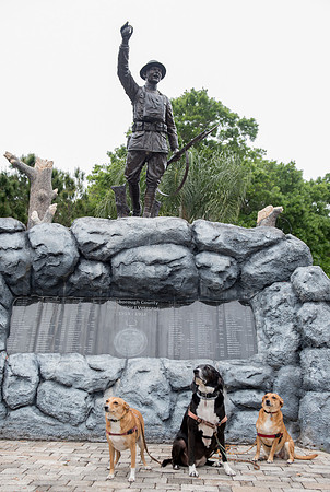Dogs with Flanders Field exhibit