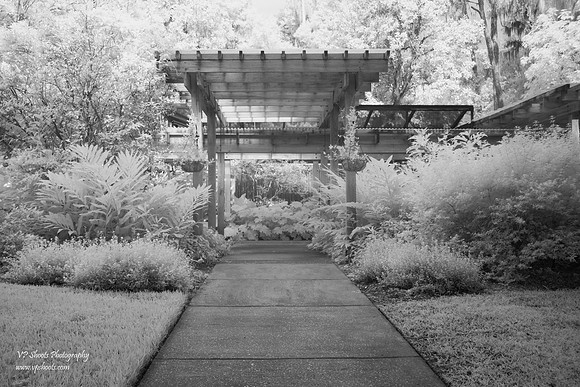 Infrared at Eureka Springs Park