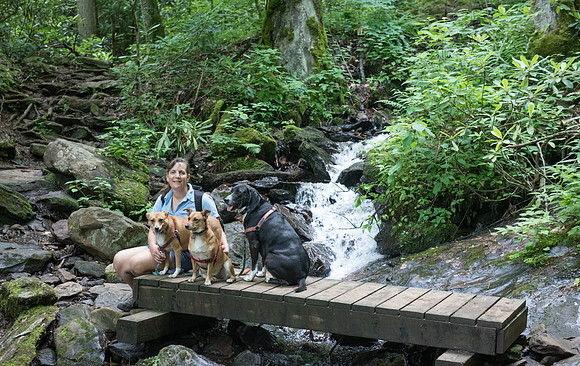 On the trail - hanging out at a bridge crossing