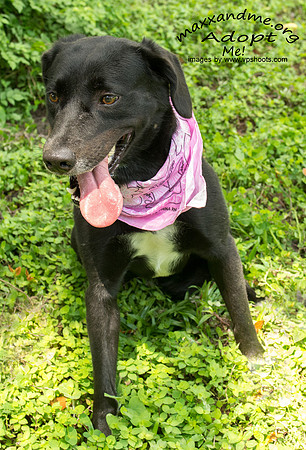 Misty - female