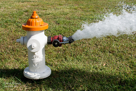 Fire hydrant flush