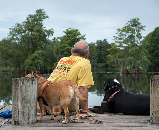Man relaxing with dogs on boat dock