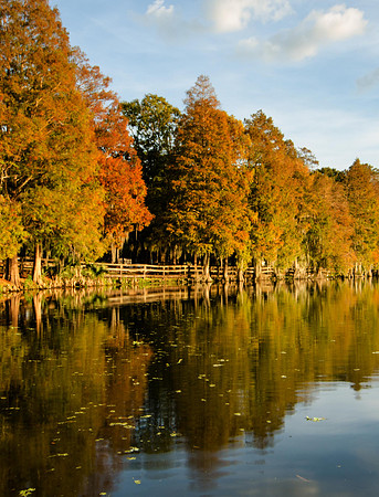 Fall color at Riverhills Park