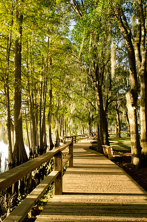Boardwalk at Riverhills Park