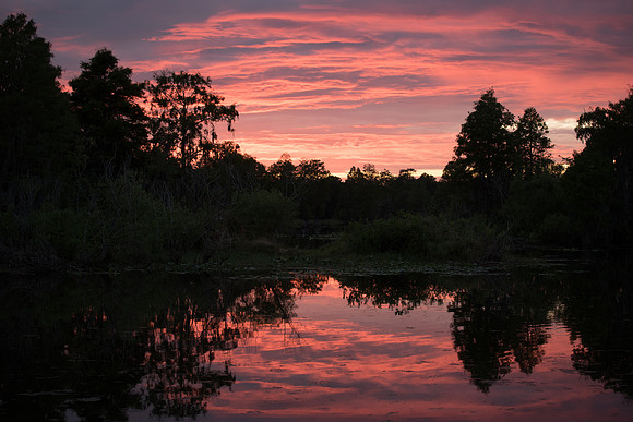 Sunset at Riverhills Park