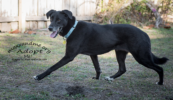 Lucy - female