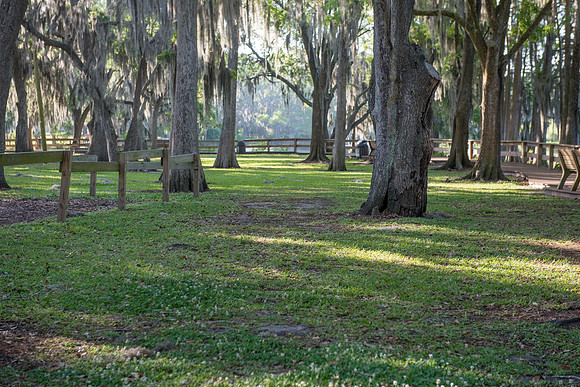 Early morning near the Gazebo at Riverhills Park