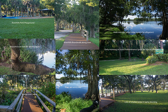 Scenes at Riverhills Park