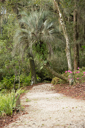 Eureka Springs Park walkway