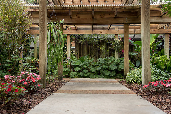 Eureka Springs Park Arbor