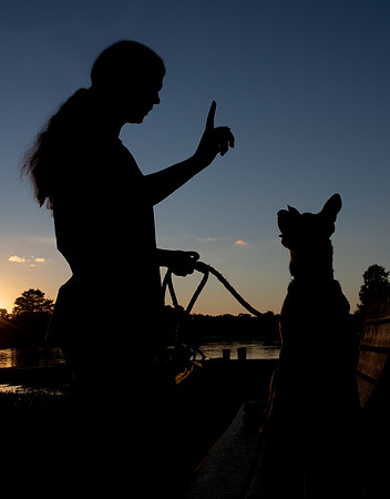 Silhouette Photography with dogs