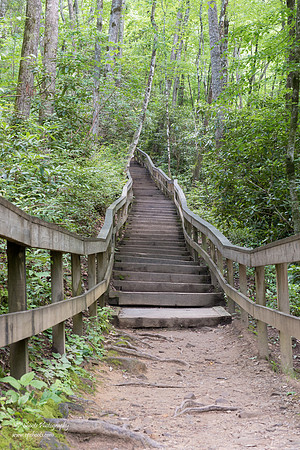 Stairs at Mingo Falls