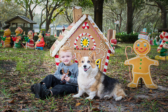 Christmas Portrait of young boy and dog