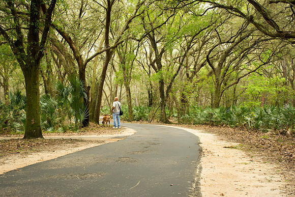 paved walkway at Lettuce Lake Park