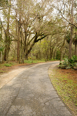 Handicapped accessible paved walkway at Lettuce Lake Park