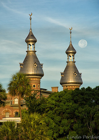 University of Tampa