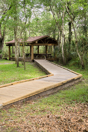 Picnic shelter at Lettuce Lake Park